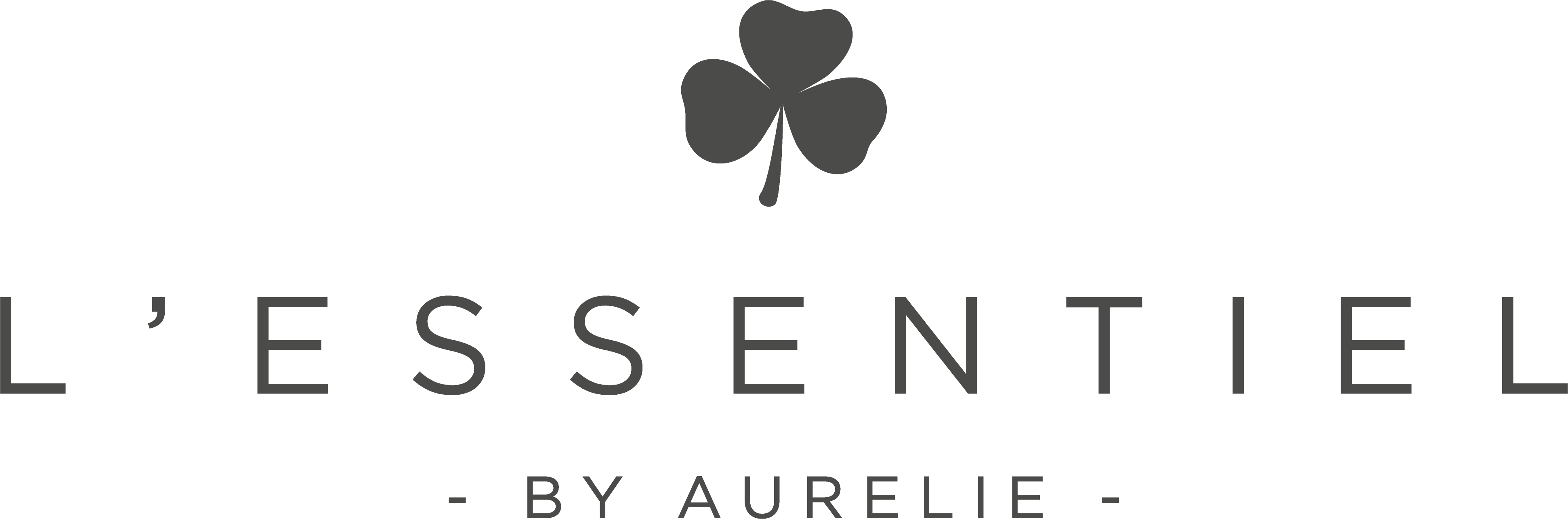 Logo_AMFichier%207@4x